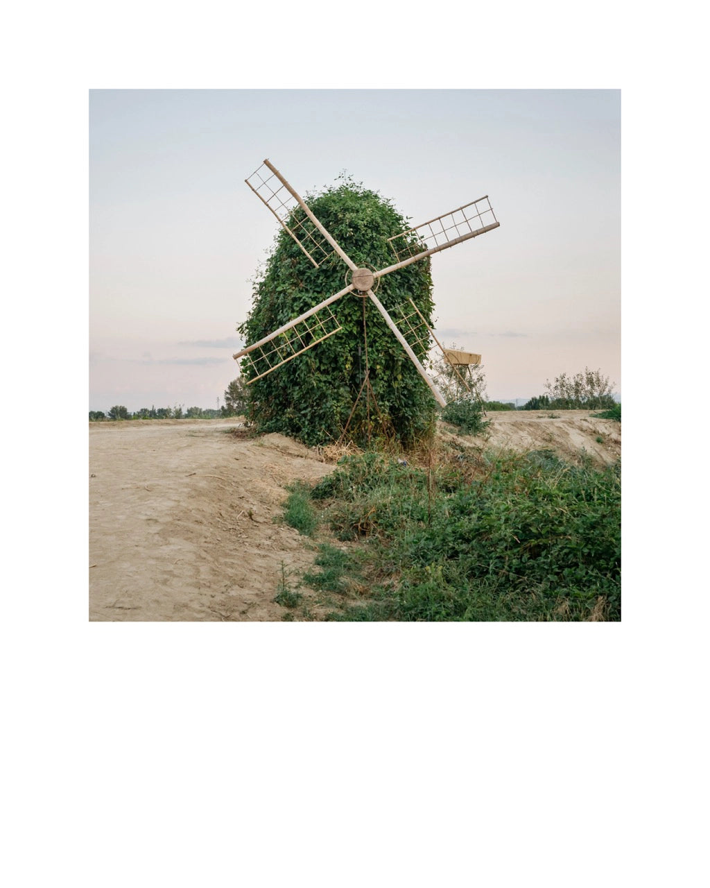 Sans titre, Cotignola, 2025