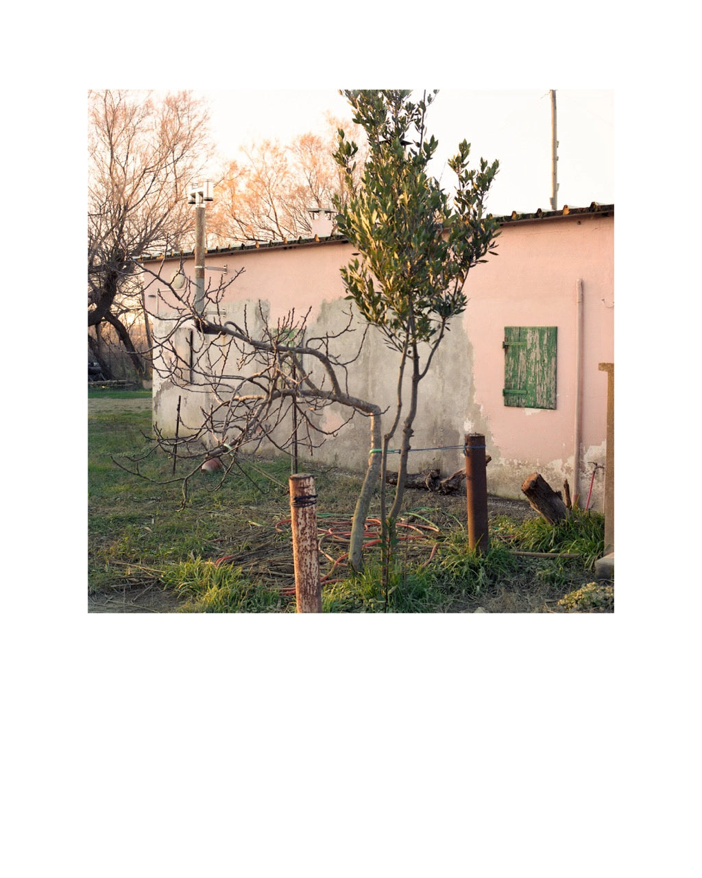 Sans titre, Lido di Dante, 2022