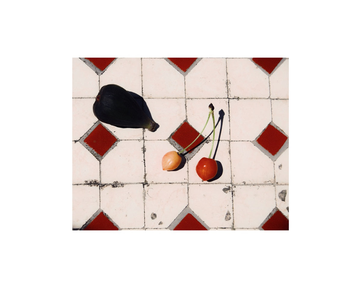 Fruits du jardin, Nord de la France, 2025