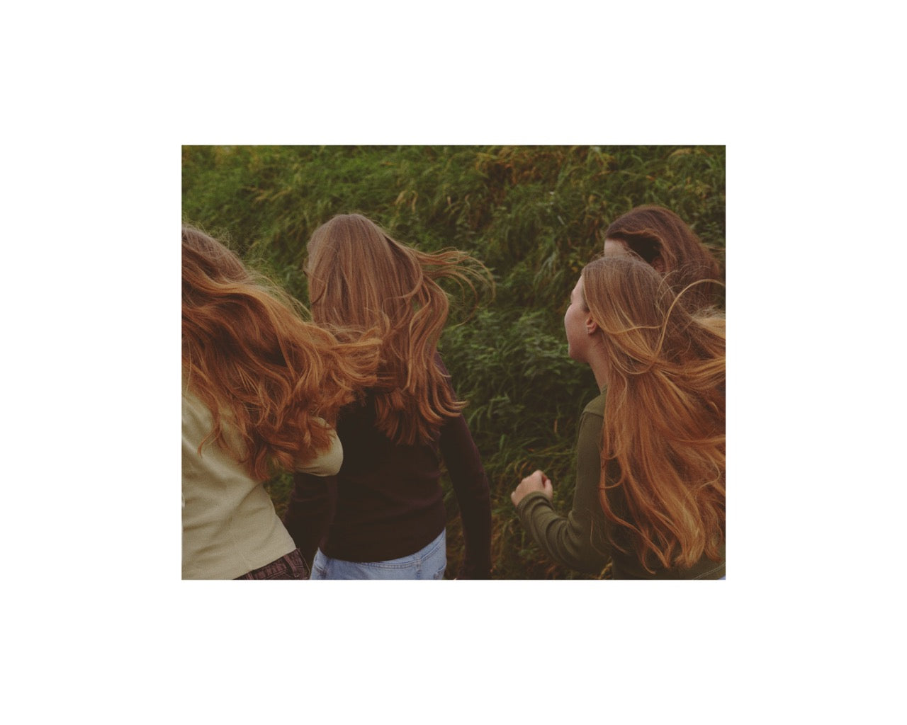 Fifteen, Belgique, 2024