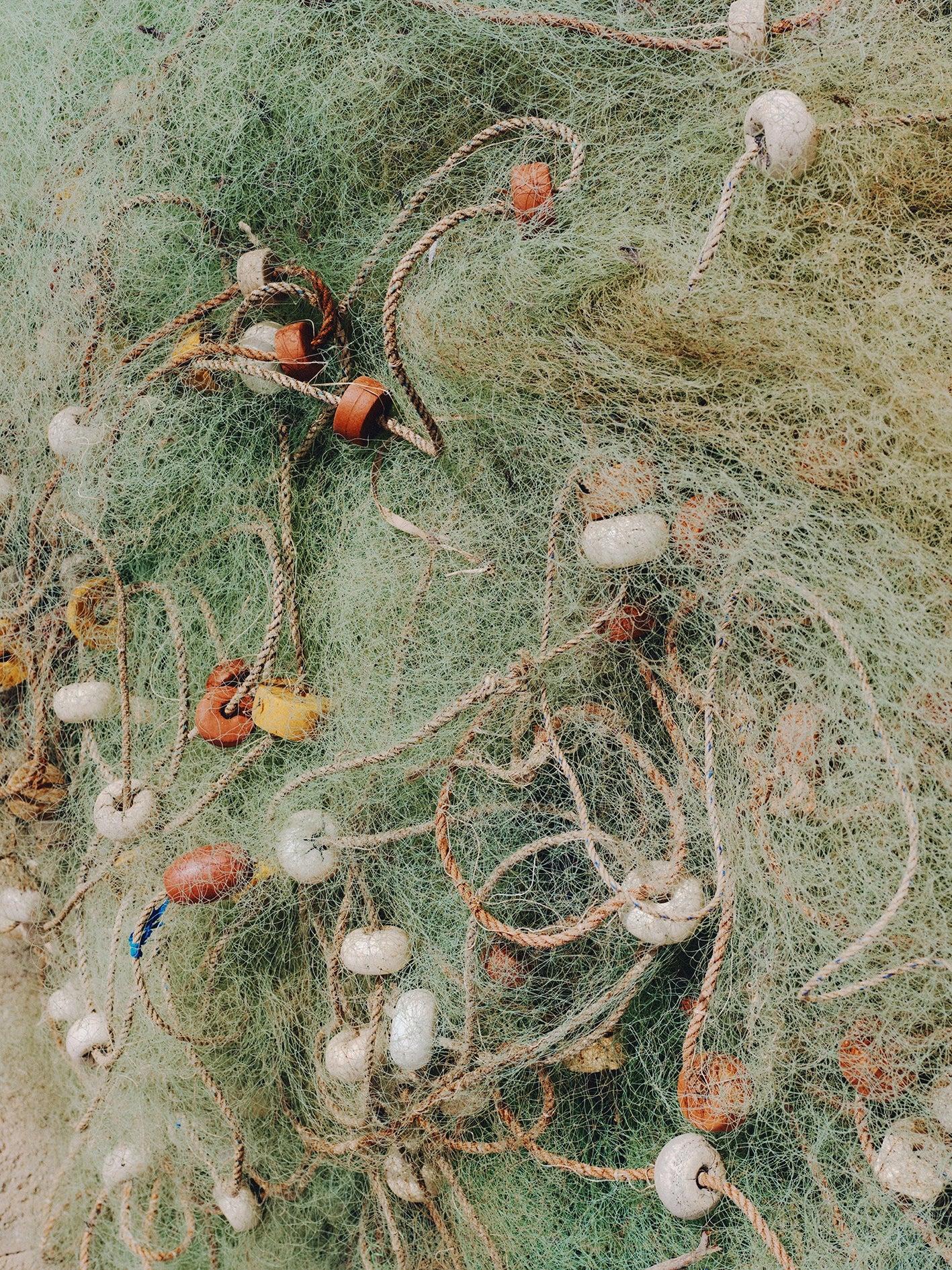 Cap Skirring I, Sénégal, 2023